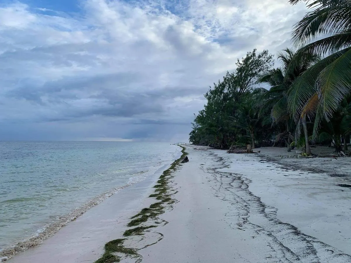Chez Gigi - Eco Lodge Mahahual