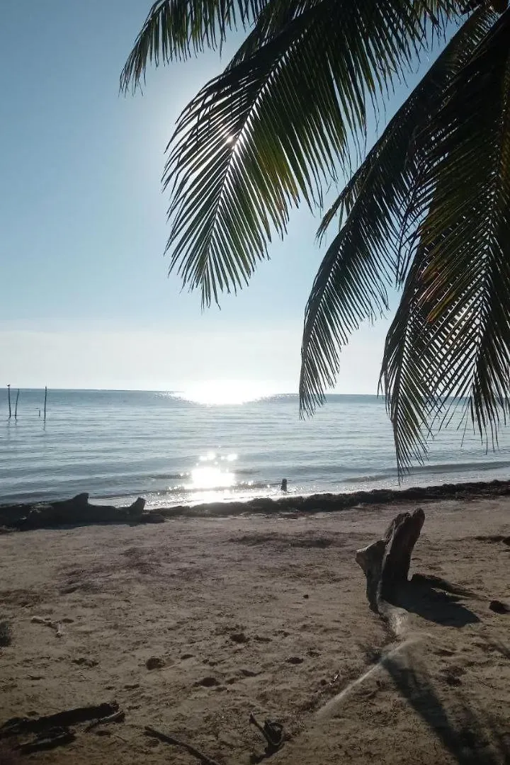 Chez Gigi - Eco Lodge Mahahual