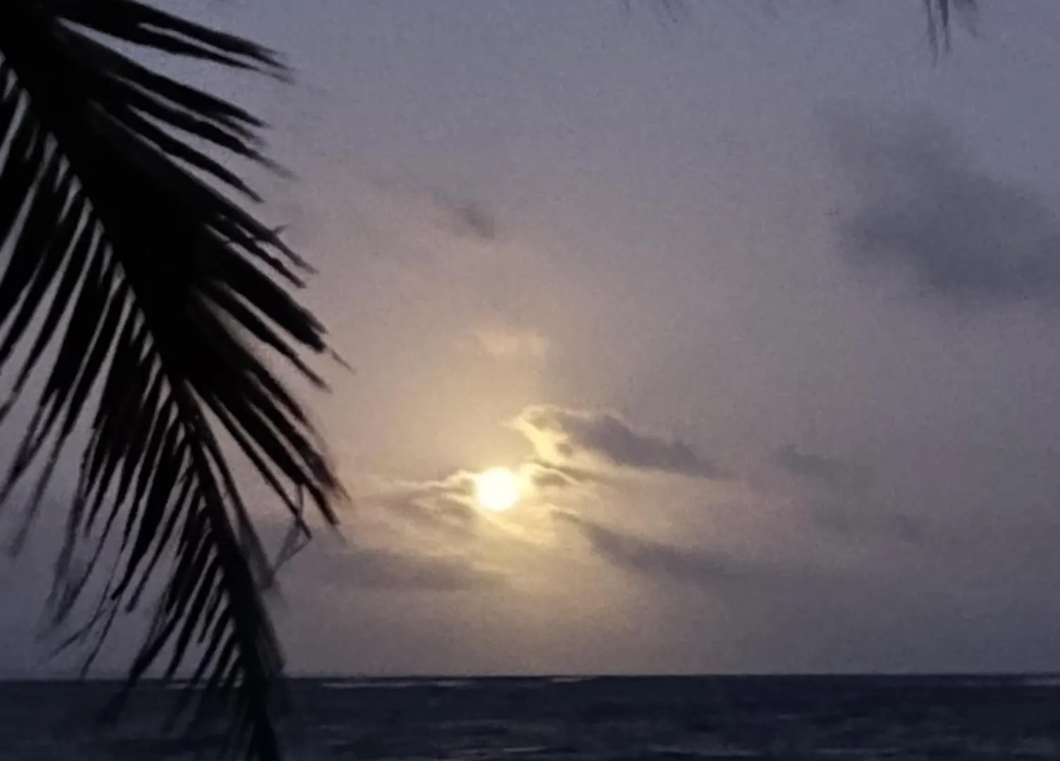 Chez Gigi - Eco Lodge Mahahual