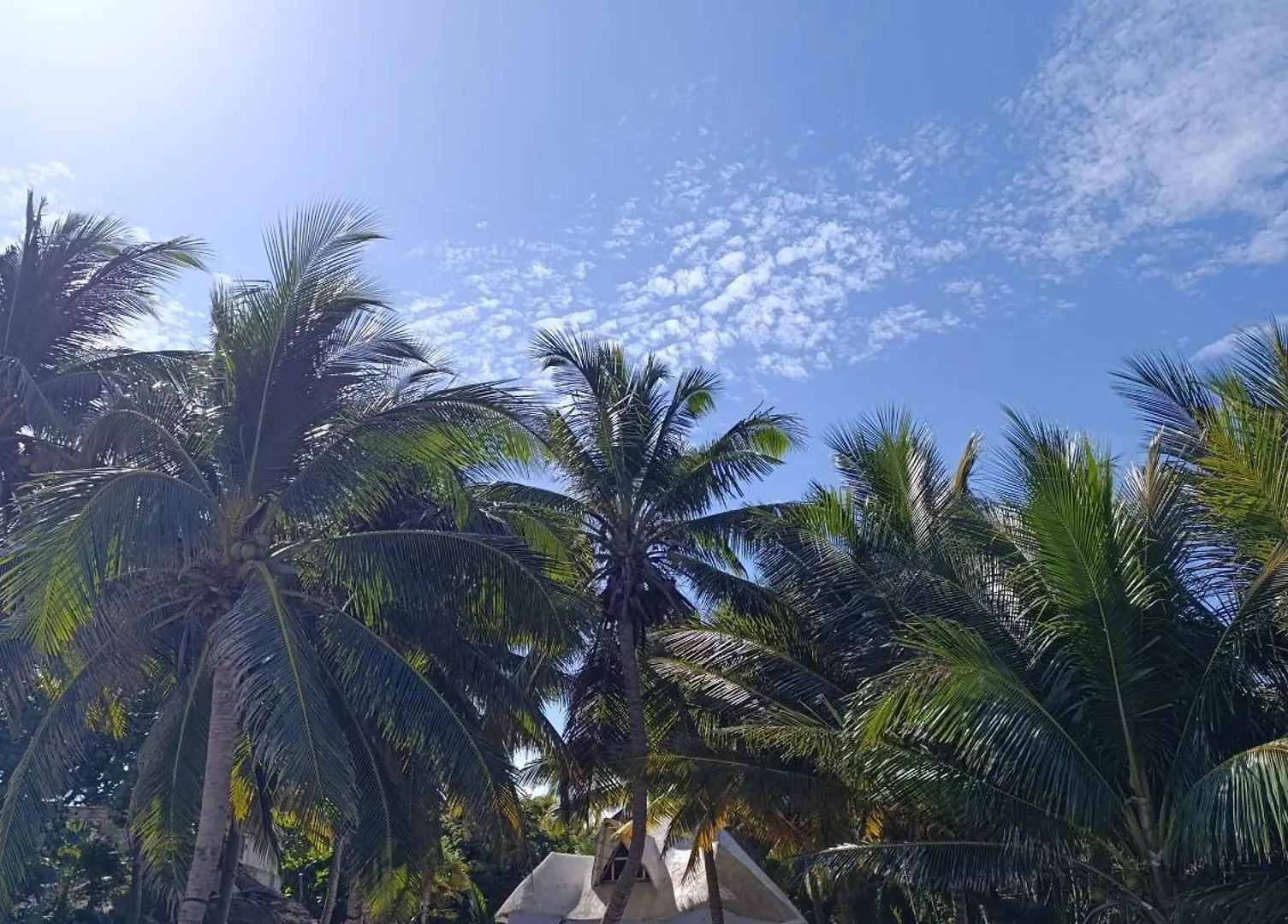 Chez Gigi - Eco Lodge Mahahual
