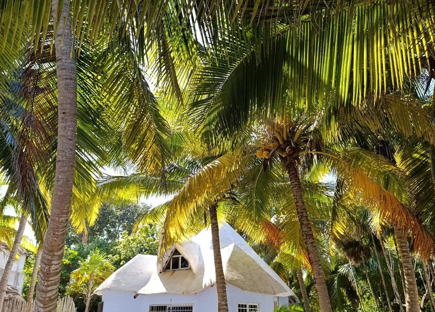 Chez Gigi - Eco Lodge Mahahual