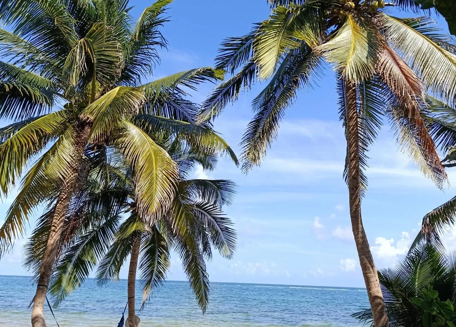 Chez Gigi - Eco Lodge Mahahual