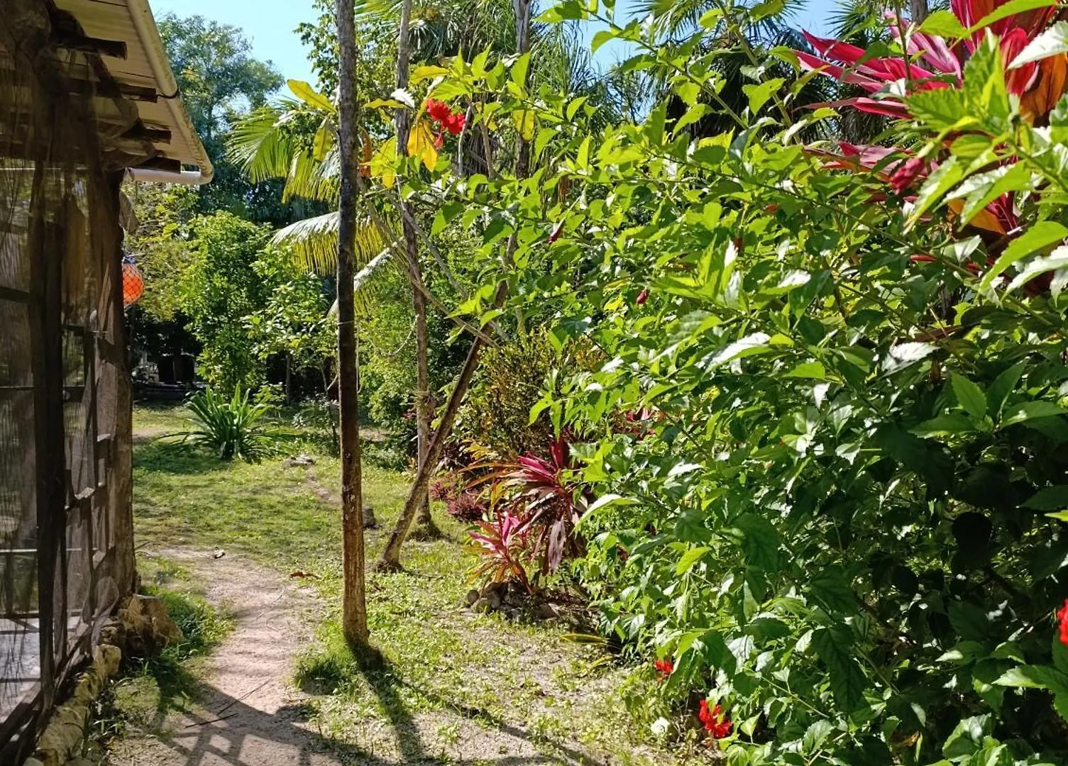 Chez Gigi - Eco Lodge Mahahual