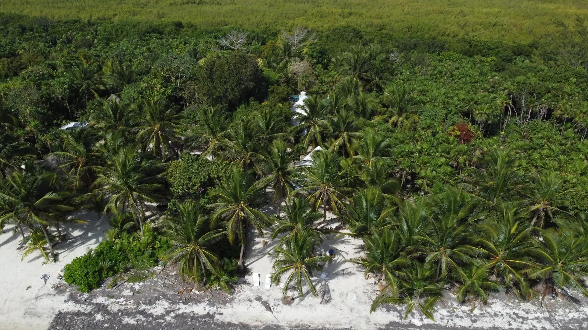 Chez Gigi - Eco Lodge Mahahual