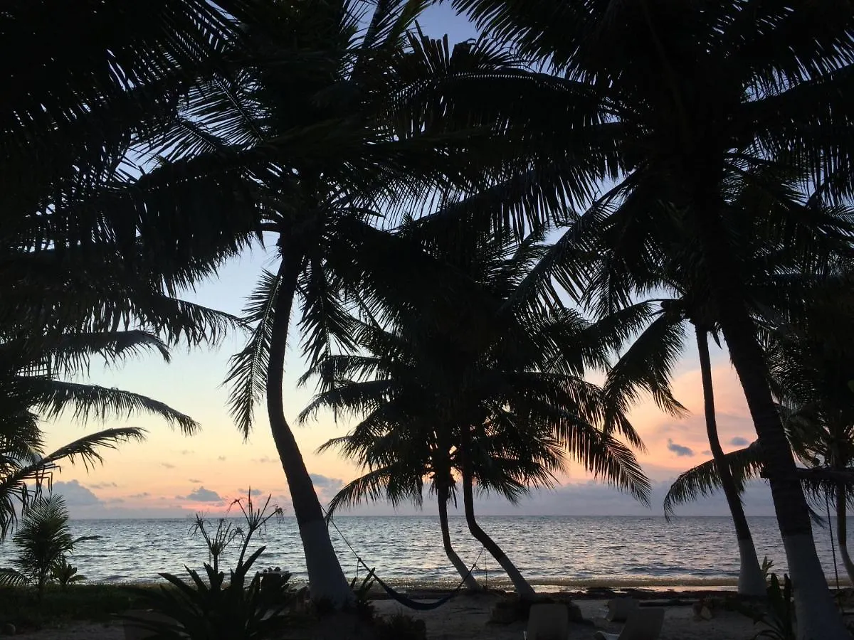 Chez Gigi - Eco Lodge Mahahual 0*,