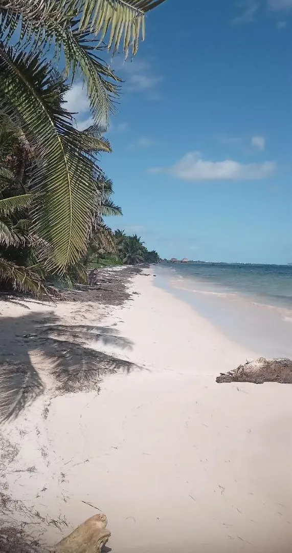 Chez Gigi - Eco Lodge Mahahual