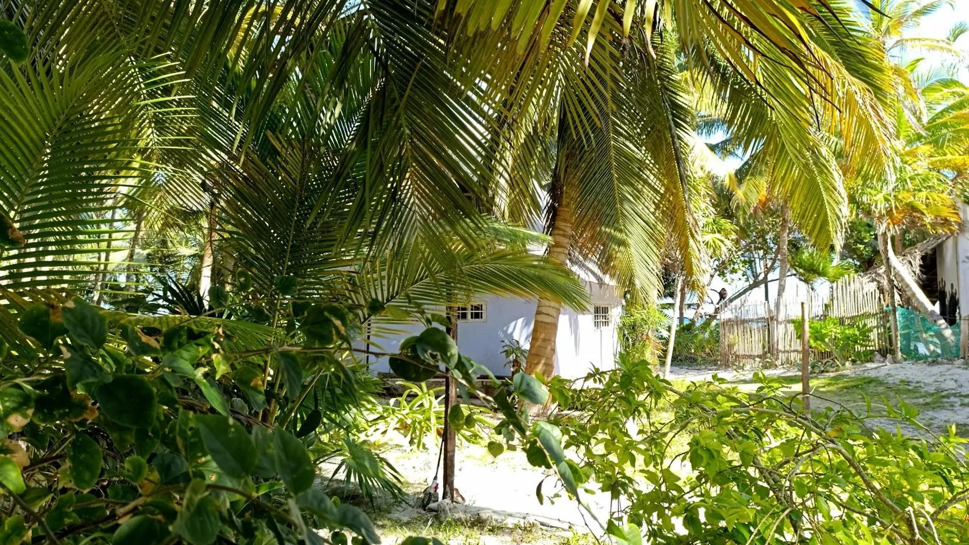 Chez Gigi - Eco Lodge Mahahual Mexico