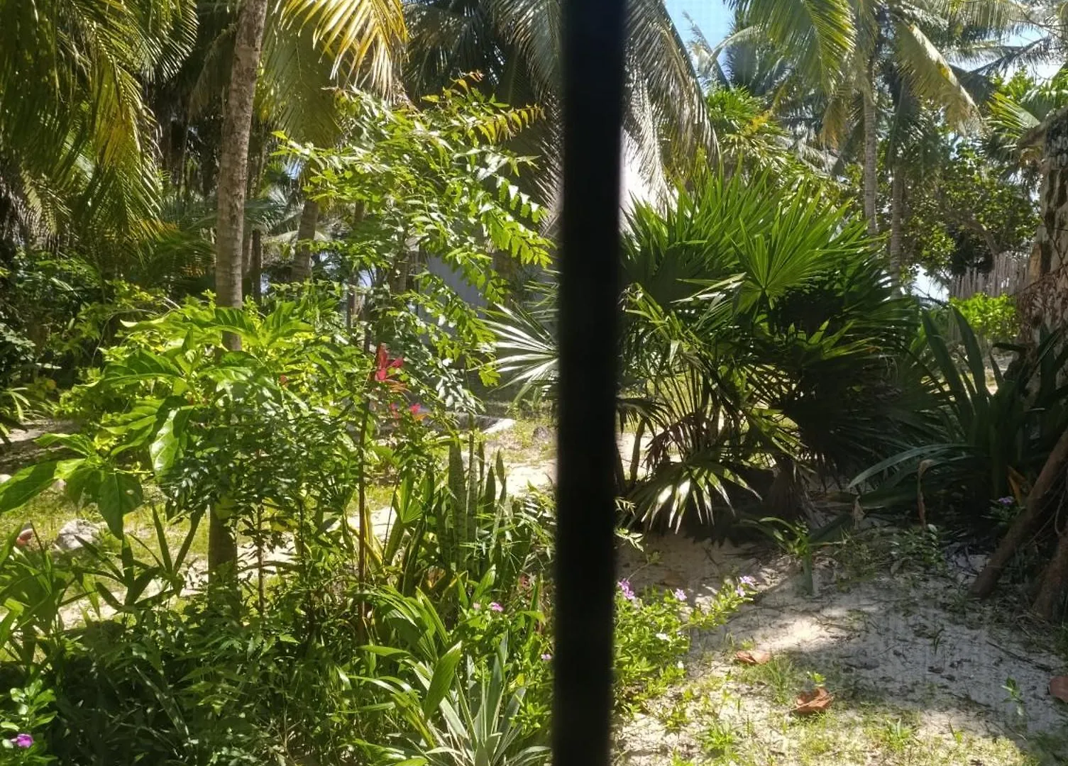 Chez Gigi - Eco Lodge Mahahual